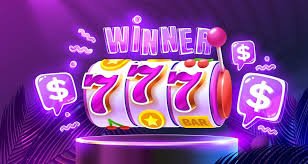Platform draja77 untuk sports dan kasino terkemuka